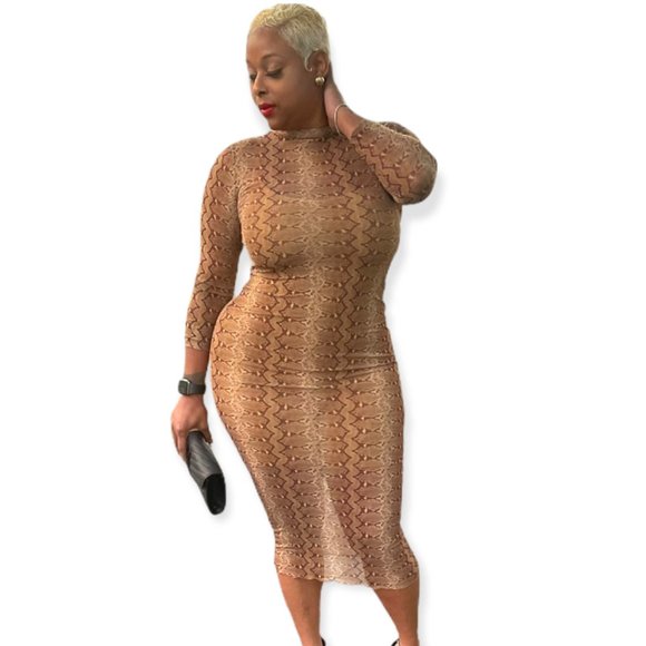 Sheer Bodycon Dress - Picture 3 of 3